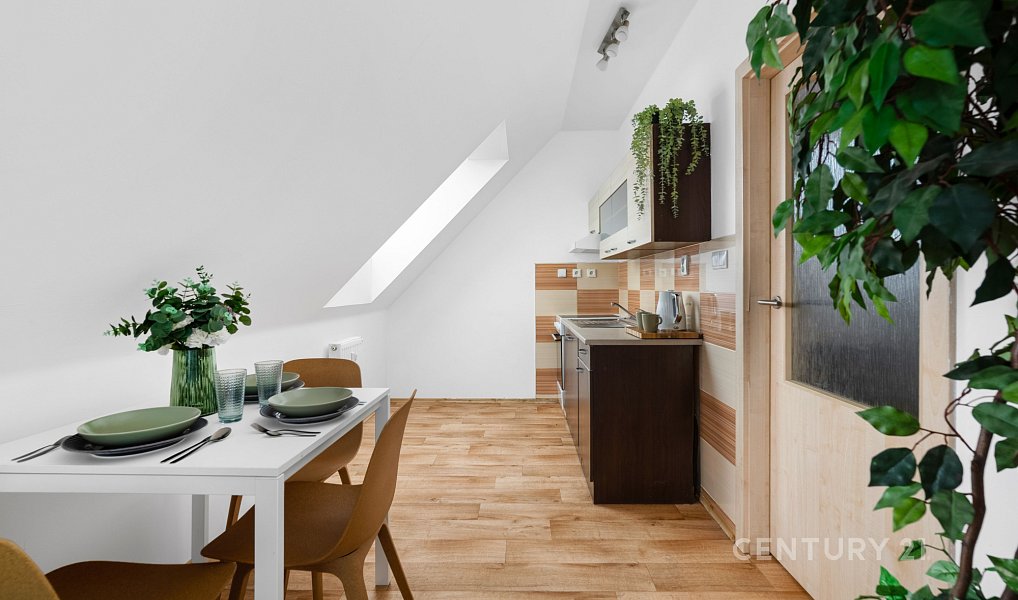 Pronájem bytu 3+kk 58 m², Brno – náhled fotky 4