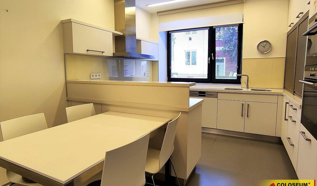 Pronájem domu 316 m² s pozemkem 181 m², Brno – náhled fotky 5