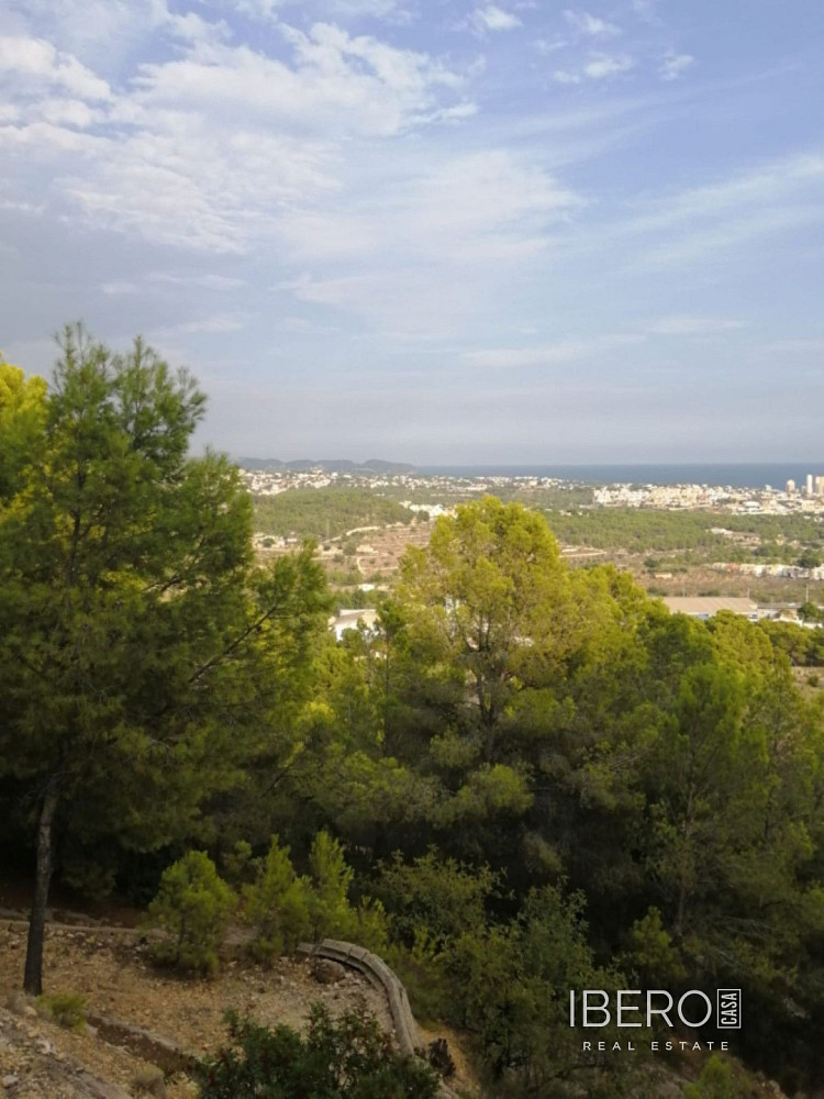 Prodej domu 230 m² s pozemkem 18 000 m² — photo 4