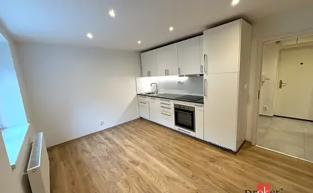 Pronájem bytu 2+1 48 m², Resslova, Lovosice, okres Litoměřice