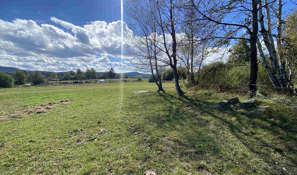 Prodej pozemku 6 764 m², Horní Stropnice – náhled fotky 2