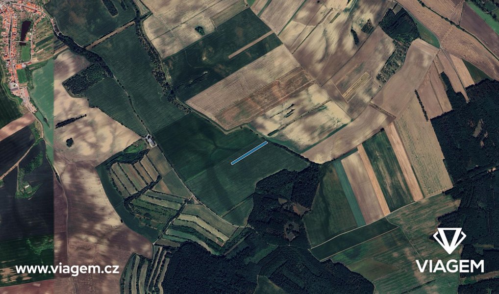 Prodej pole 6 419 m², Hovorany – náhled fotky 3