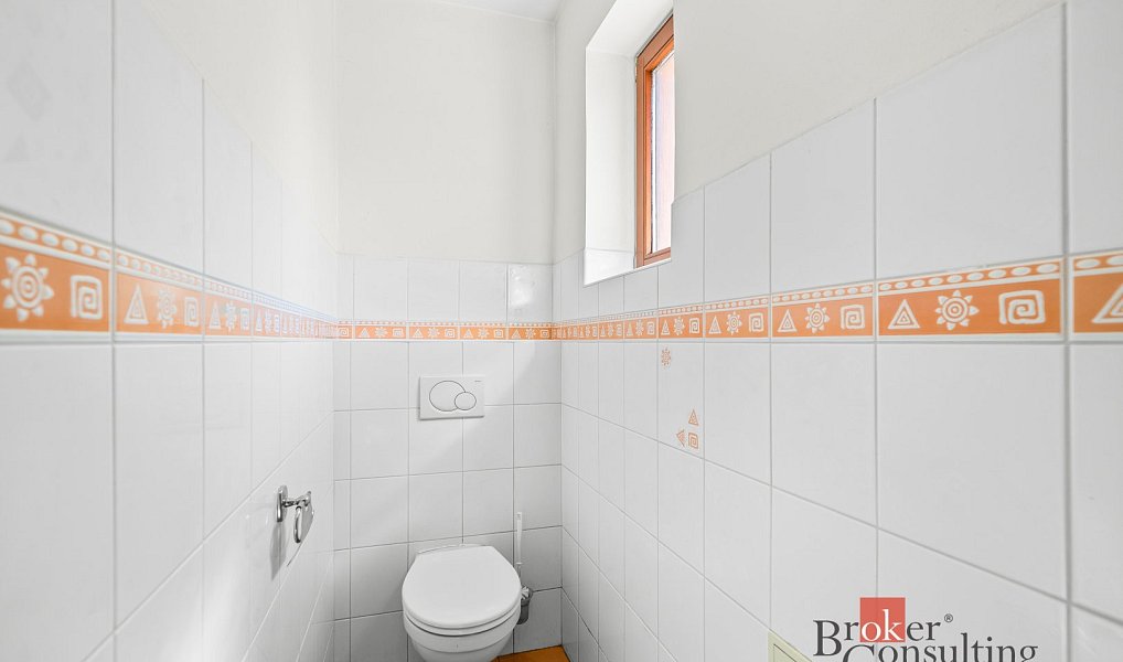 Prodej domu 196 m² s pozemkem 252 m², Horní Bříza – náhled fotky 7
