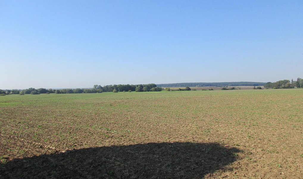 Prodej pole 7 913 m², Obecnice – náhled fotky 3