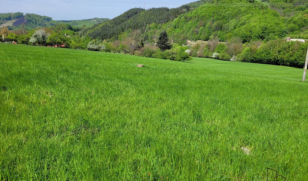 Prodej pozemku 3 304 m², Rusava – náhled fotky 3