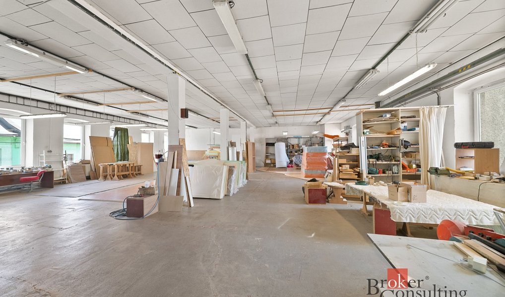 Prodej komerčního objektu (jiného typu) 1 100 m², Krnov – náhled fotky 13