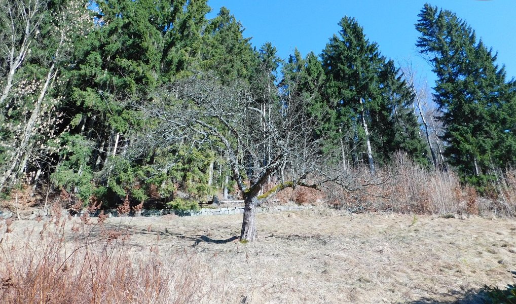 Prodej domu 250 m² s pozemkem 1 221 m², Janov nad Nisou – náhled fotky 26