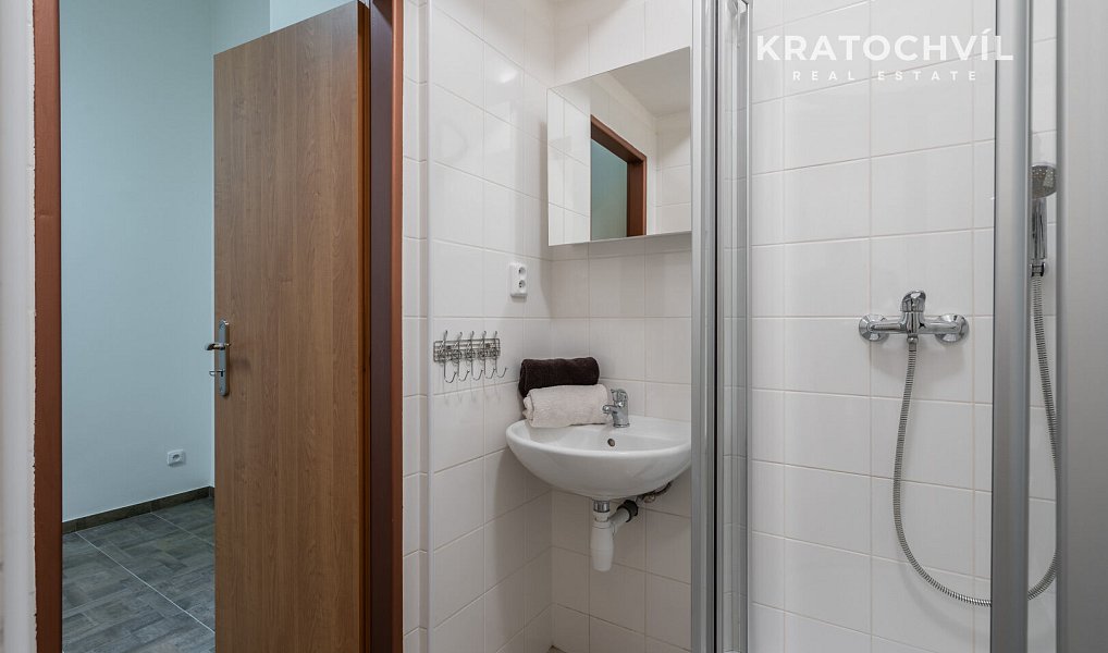 Pronájem bytu 3+kk 101 m², Praha – náhled fotky 18