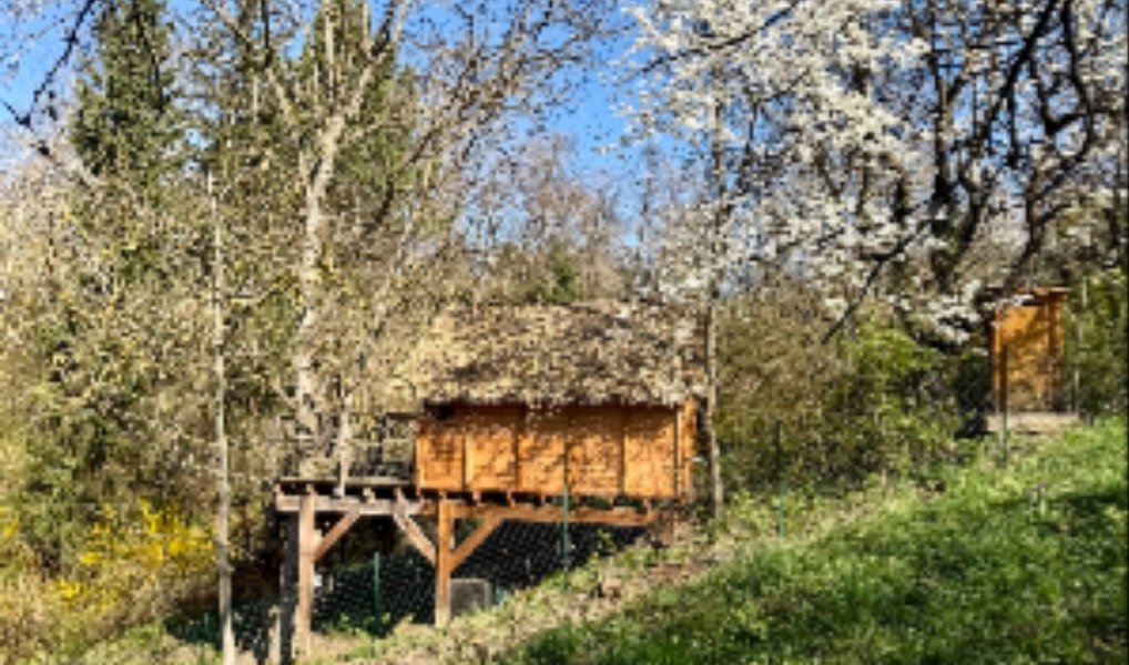 Prodej chaty/chalupy 25 m² s pozemkem 733 m², Uherský Brod – náhled fotky 17