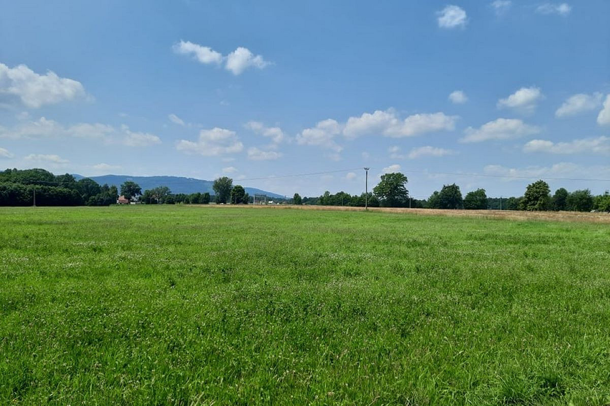 Prodej pole 7 527 m² — photo 3