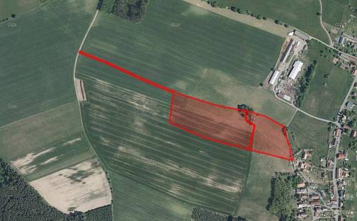 Prodej pole 37 151 m², Olešnice, okres Rychnov nad Kněžnou