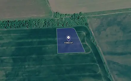 Prodej pole 4 682 m², Hrušovany nad Jevišovkou, okres Znojmo