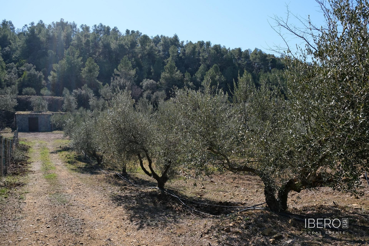 Casa 3+kk – Falset, Priorat - Vista 2