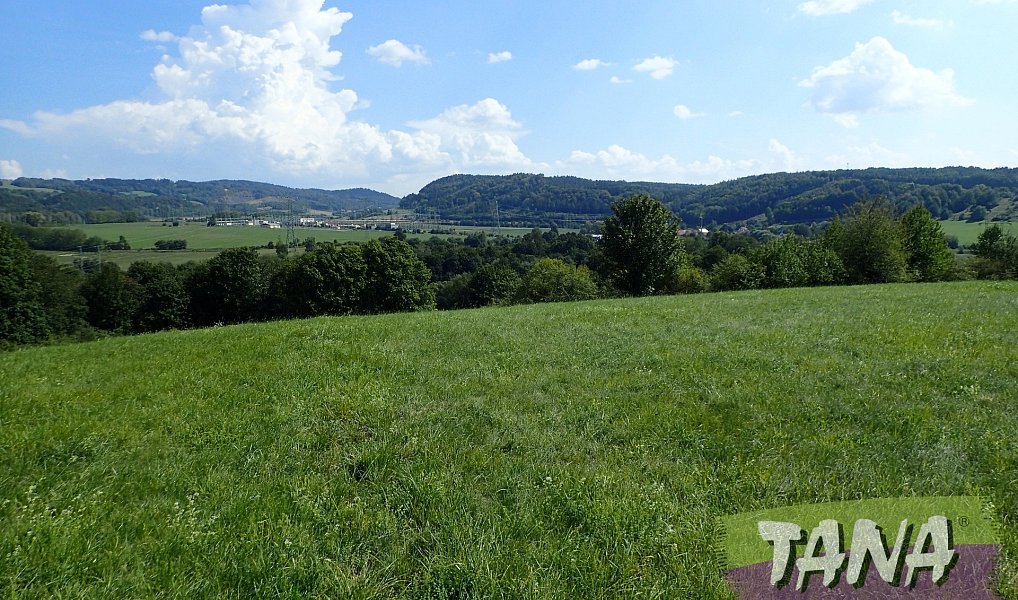 Prodej louky 49 051 m², Hodkovice nad Mohelkou – náhled fotky 5