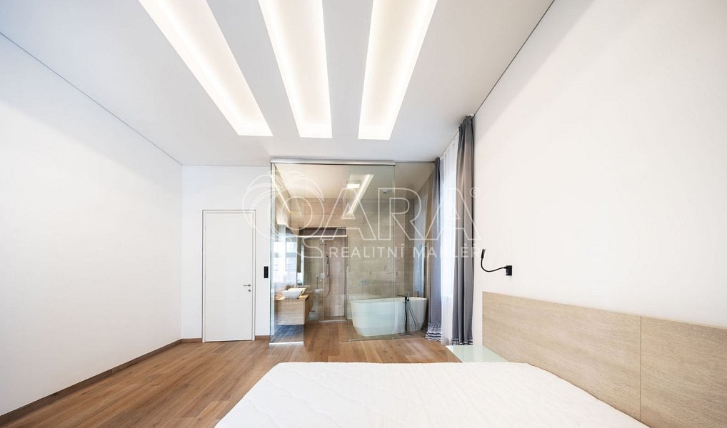 Pronájem bytu 3+kk 186 m², Praha – náhled fotky 16
