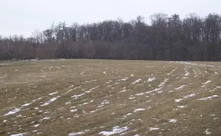 Dražba pole 66 956 m², Nová Sídla