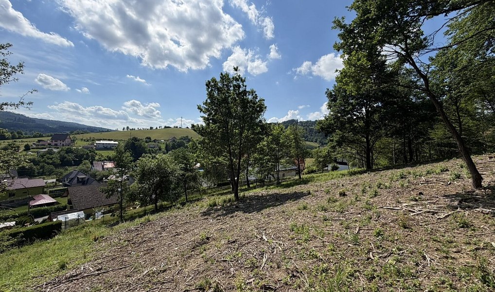 Prodej stavebního pozemku 1 781 m², Hošťálková – náhled fotky 9