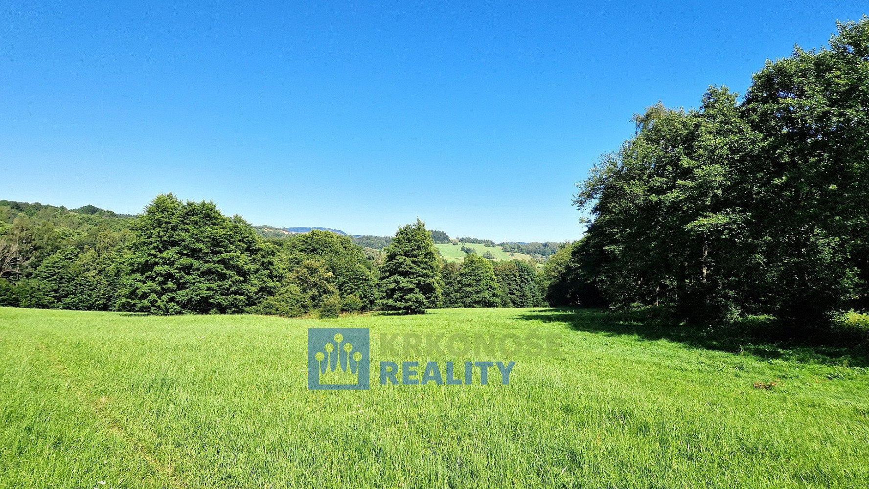 Prodej podílu 1/2 pozemky - trvalý travní porost, 68 585 m² - Trutnov - Babí – pohled 2