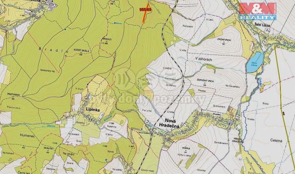Prodej lesa 6 647 m², Nová Hradečná – náhled fotky 5