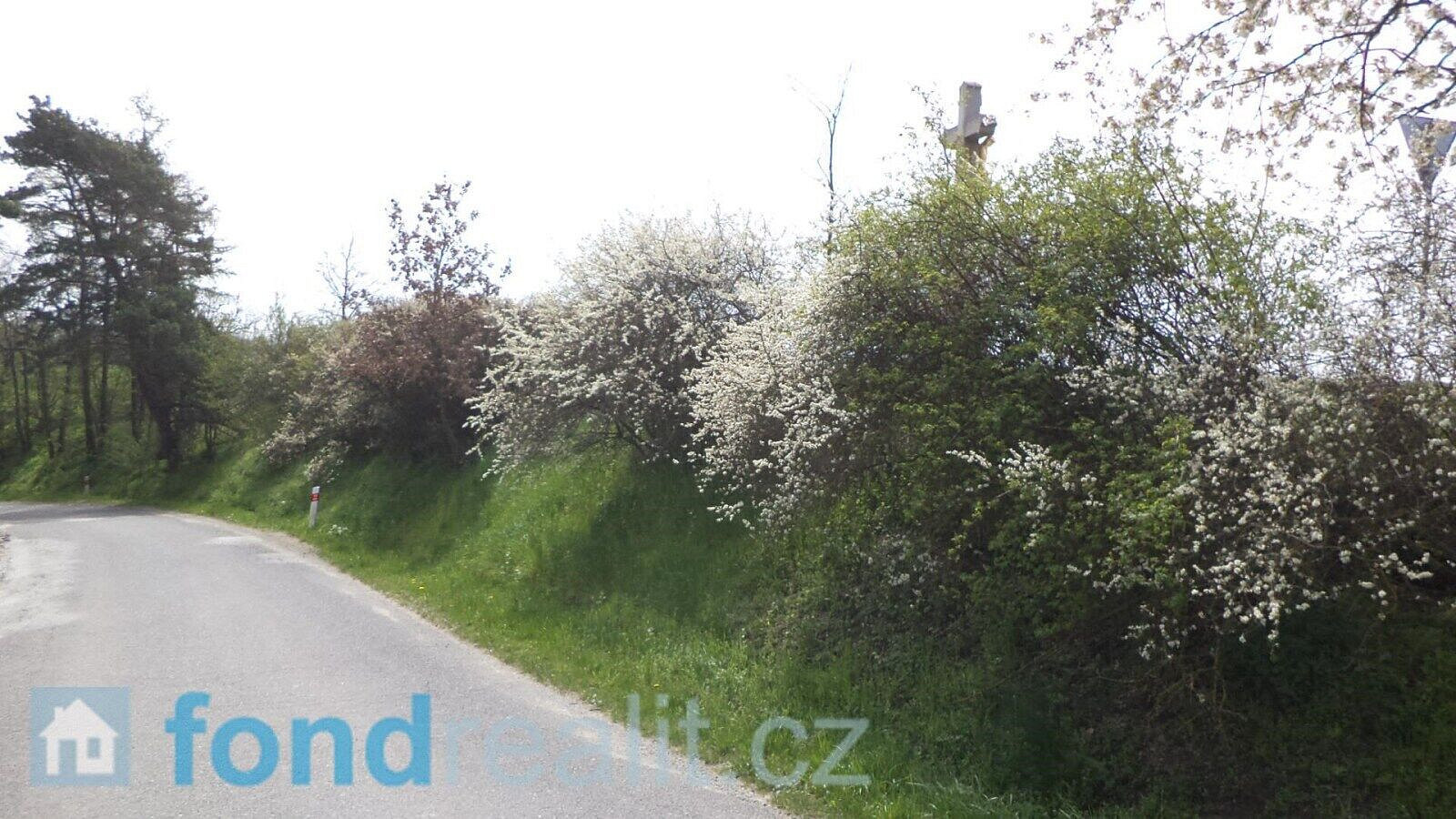 Prodej pozemku 1 277 m² – pohled 6