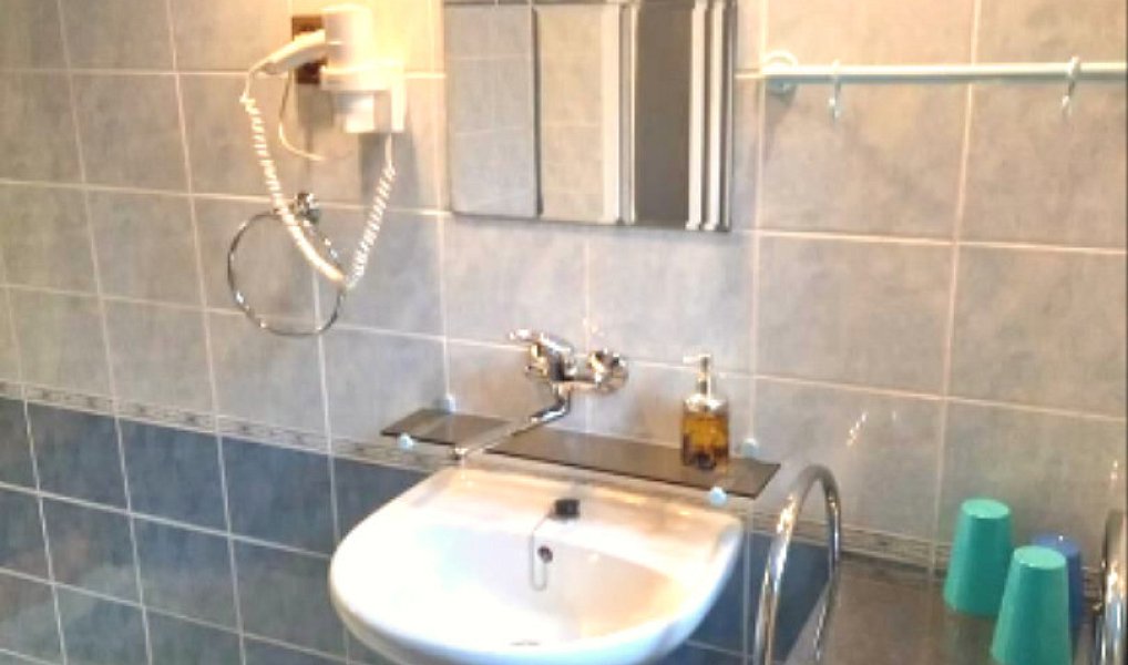 Prodej ubytovacího objektu 460 m², Ostrov – náhled fotky 8