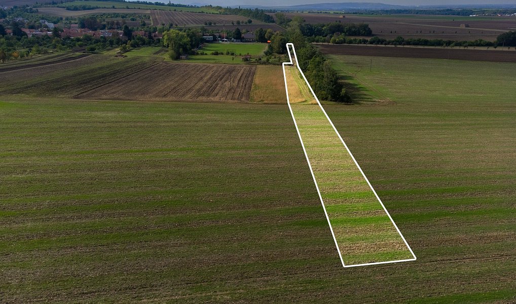 Prodej pole 5 903 m², Prace – náhled fotky 20