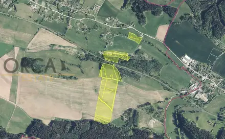 Prodej pole 4 304 m², Borovnice, okres Trutnov