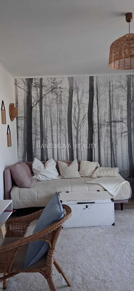 Pronájem bytu 3+1 65 m² — photo 4