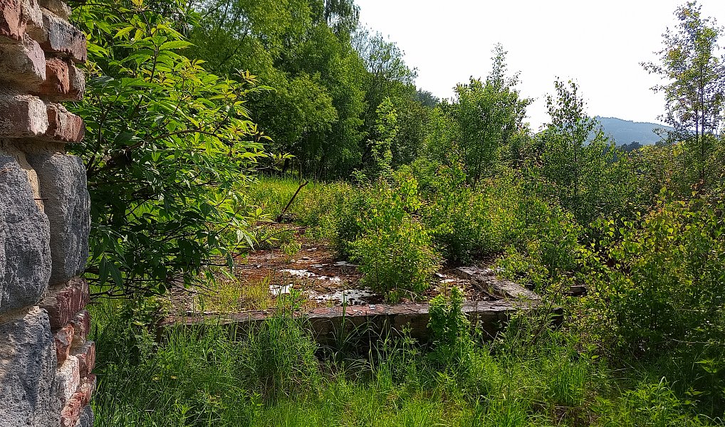 Prodej stavebního pozemku 2 111 m², Desná – náhled fotky 11