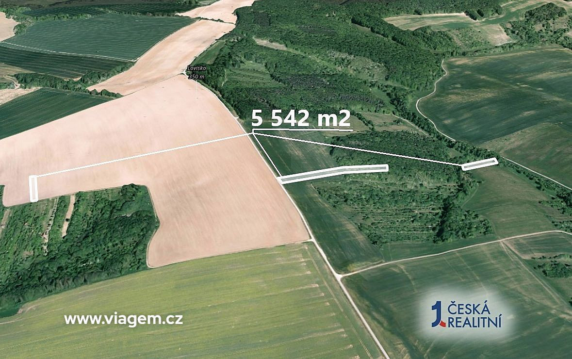 Prodej pole 6 741 m² – fotografie 2