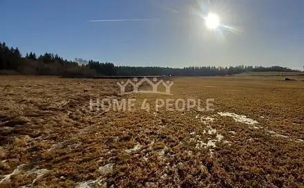 Prodej louky 11 835 m², Černá v Pošumaví, okres Český Krumlov