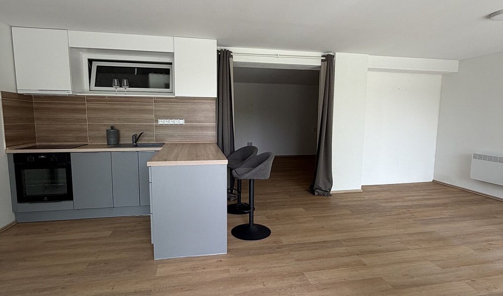Pronájem bytu 1+kk 53 m², Žatec – náhled fotky 2