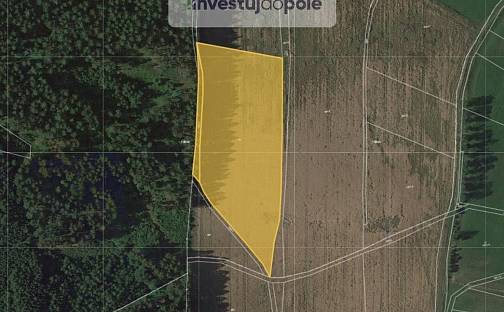 Prodej pole 15 779 m², Mříčná, okres Semily