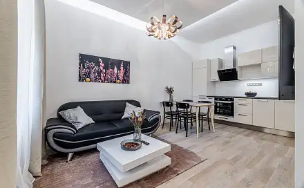 Pronájem bytu 2+kk 48 m², Šimáčkova, Praha 7 - Holešovice