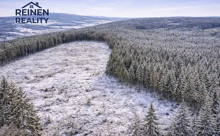 Prodej lesa 12 661 m², Malšice, okres Tábor