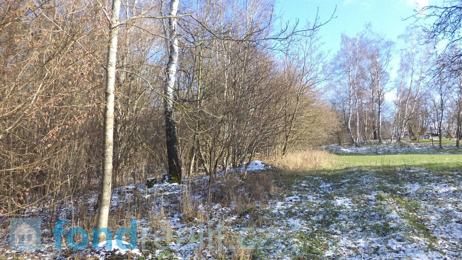 Prodej pozemku 3 575 m² – fotografie 5