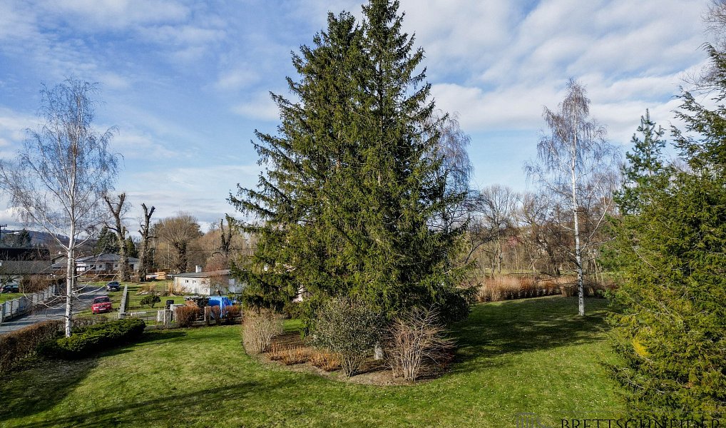 Prodej zahrady 3 160 m², Město Albrechtice – náhled fotky 16