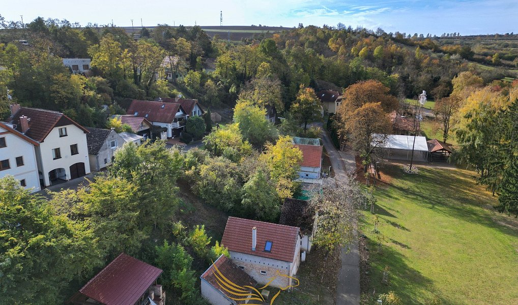 Prodej vinného sklepa, Starovice, Starovice – náhled fotky 3