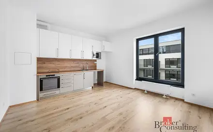 Pronájem bytu 1+kk 27 m², Železná, Plzeň - Jižní Předměstí