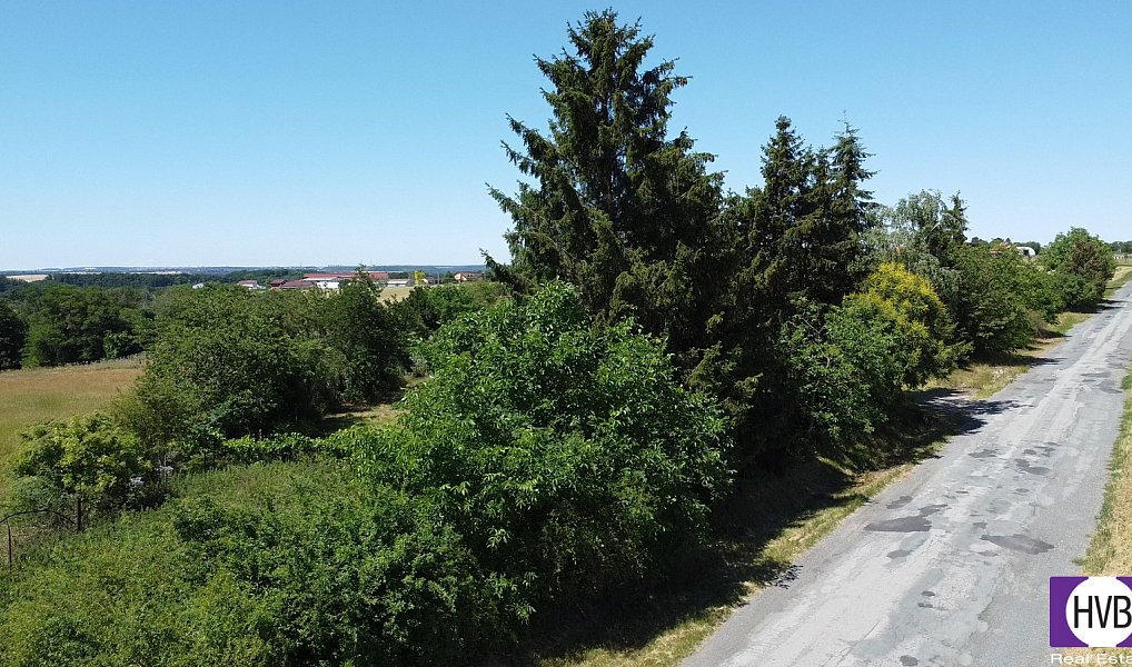 Prodej domu 80 m² s pozemkem 2 600 m², Svrkyně – náhled fotky 3