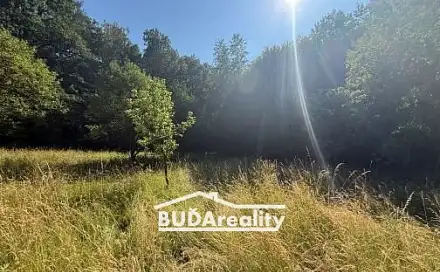 Prodej lesa 6 667 m², Lechotice, okres Kroměříž