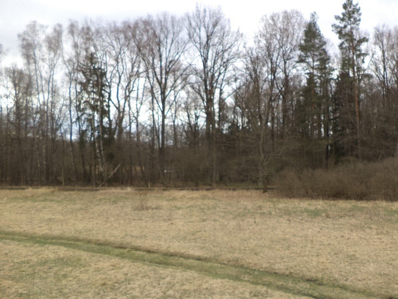 Prodej pozemku 6 727 m² – fotografie 4