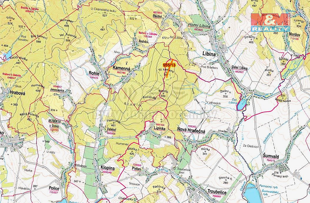 Prodej lesa 5 695 m² – pohled 2