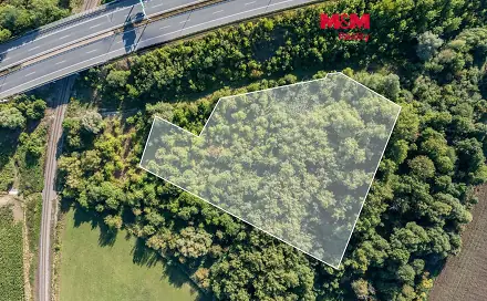 Prodej lesa 8 894 m², Praha 5 - Třebonice