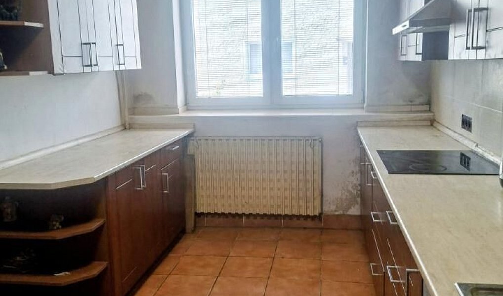 Prodej domu 250 m² s pozemkem 4 360 m², Loučany – náhled fotky 13