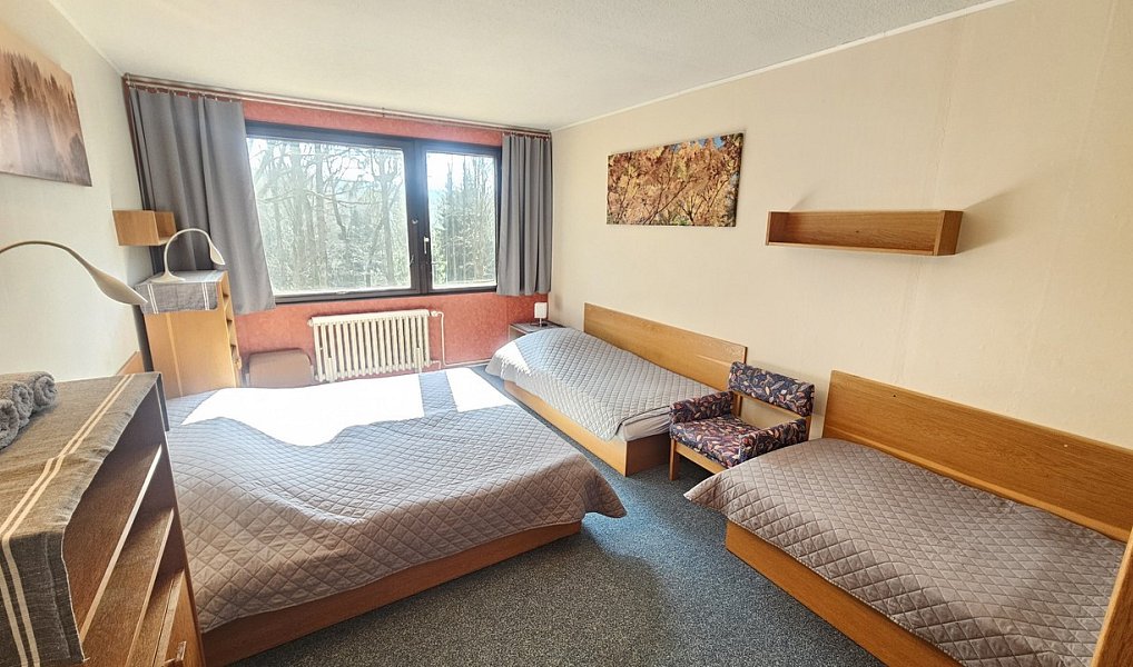 Prodej ubytovacího objektu 635 m², Janov nad Nisou – náhled fotky 15