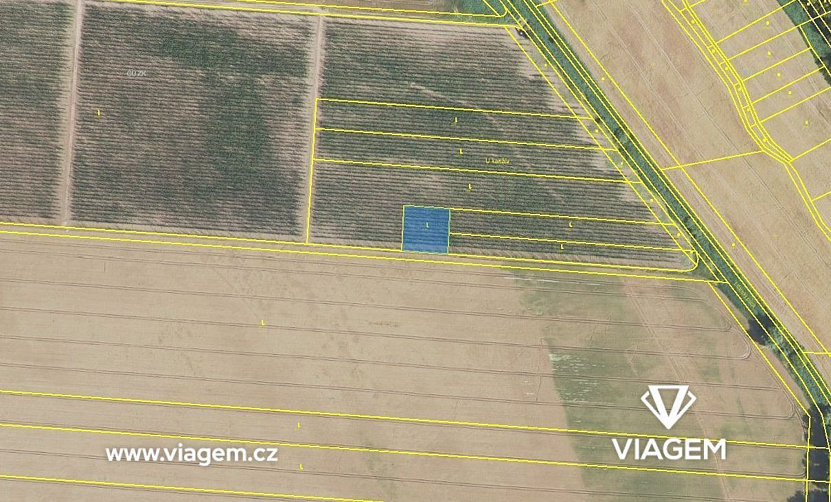 Prodej pole 700 m²
