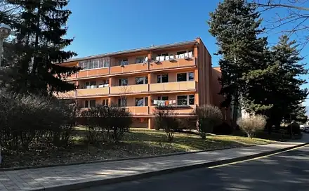 Prodej bytu 2+kk 41 m², Slovenská, Teplice