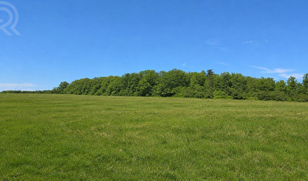 Prodej pole 60 172 m², Vonoklasy – náhled fotky 6