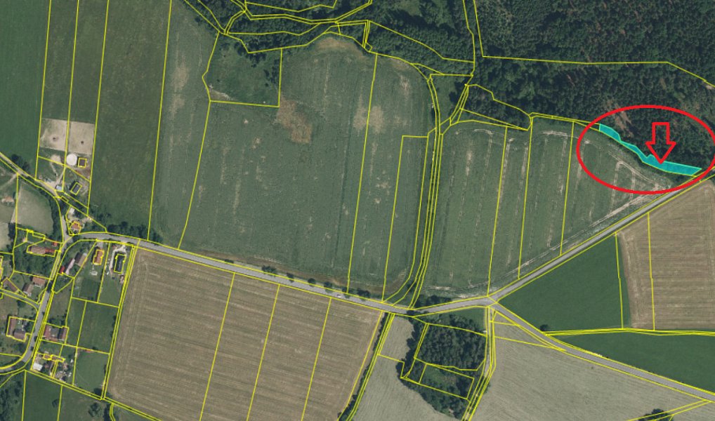 Prodej lesa 1 243 m², Kytlice – náhled fotky 4